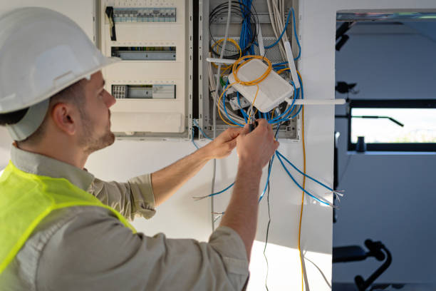 Best Electric Panel Repair  in Calumet Park, IL